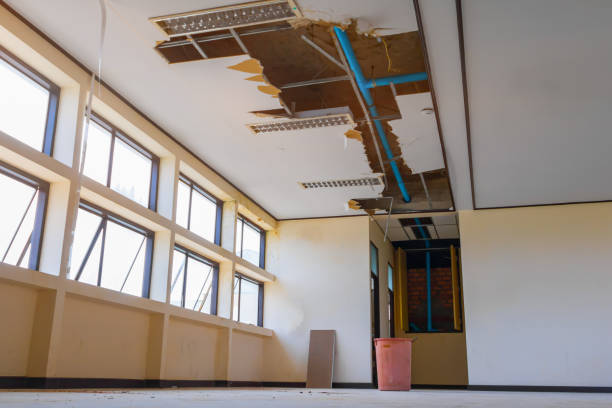 Best 24/7 water damage repair  in Lorado Springs, CO