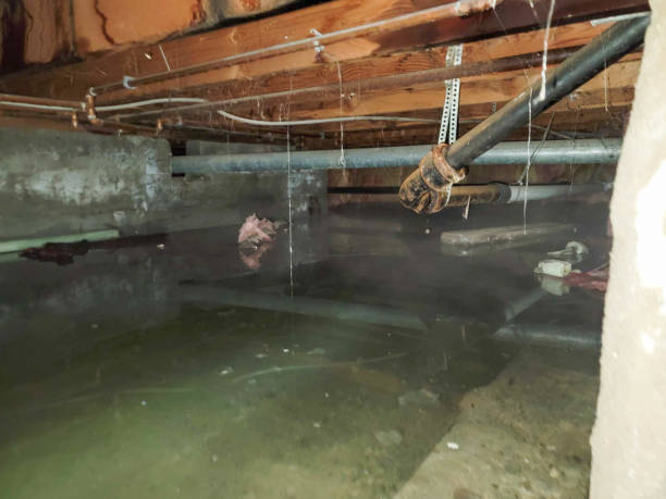 Reliable CO Water damage restoration Solutions
