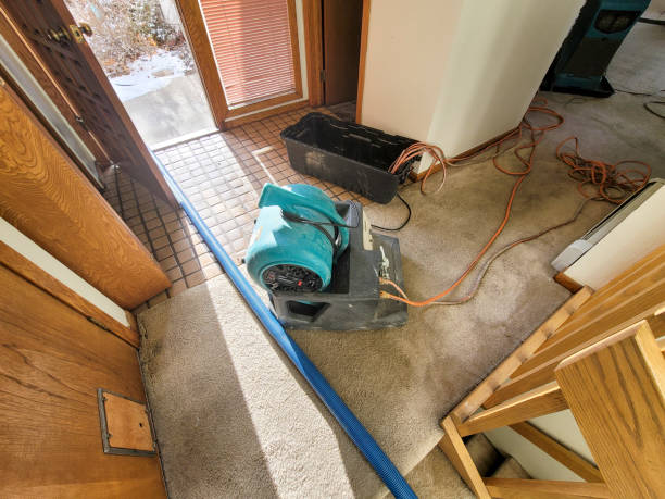 Best 24/7 water damage repair  in Lorado Springs, CO
