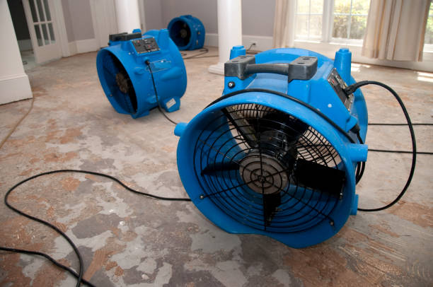 Best Commercial water damage restoration  in Lorado Springs, CO