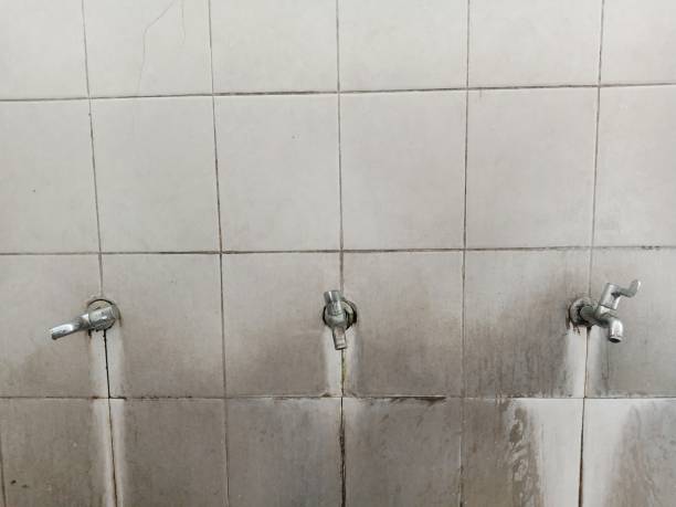 Best Professional water damage repair  in Lorado Springs, CO