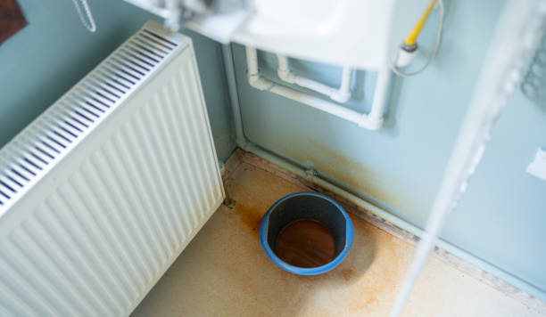 Best Water damage restoration cost  in Lorado Springs, CO